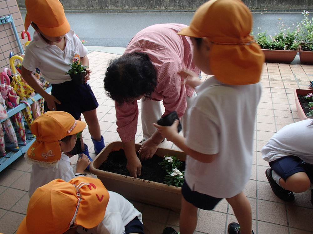 花いっぱい運動をしました　＜5歳児＞の画像1