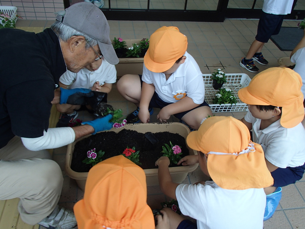 花いっぱい運動をしました　＜5歳児＞の画像3