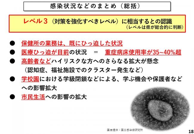 感染状況などのまとめ(総括)