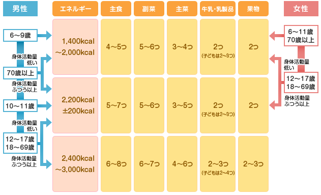 1日の適量チェック