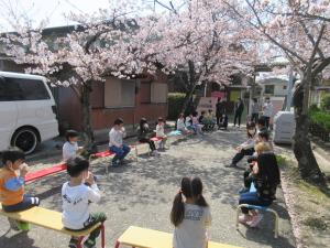 5歳児お花見の様子