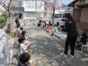 4歳児お花見