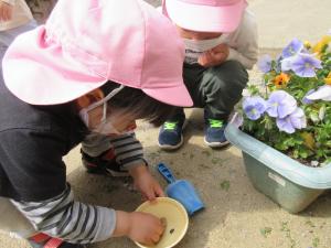 3歳児　虫探し