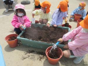 植木鉢に土を入れています
