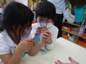 イチゴを観察しています