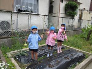 タマネギが抜けたところ