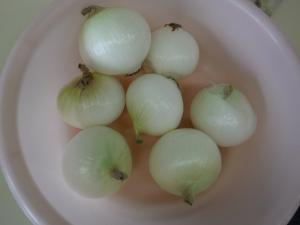 玉ねぎ。
