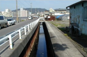 浄言寺川の写真1