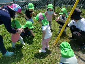 1歳児が園庭を散策しています。