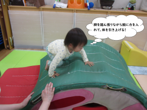 やまのぼりせいこう
