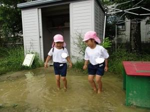 水たまり