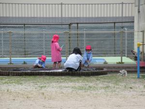 サツマイモを植える4歳児