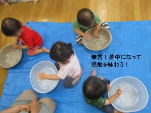 寒天遊び