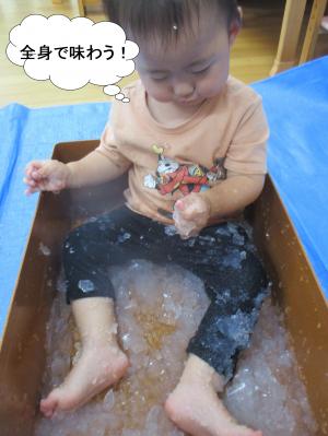 寒天たのしい