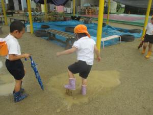 水たまりに入っています