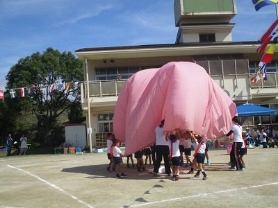 第35回運動会　10月13日(土曜日)の画像15