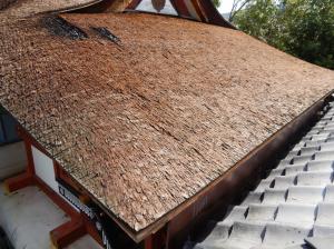 檜皮葺き屋根