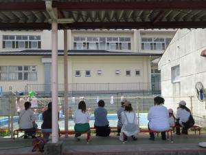 プール参観を見ている5歳児保護者
