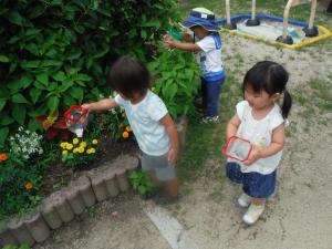 お花にお水をあげているところ