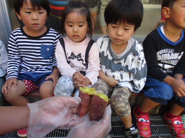 焼けたおいもをみる3歳児