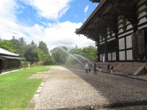 東大寺放水