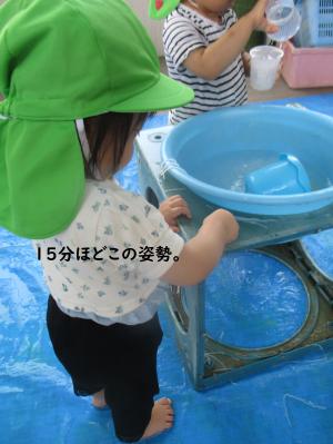 マロニー