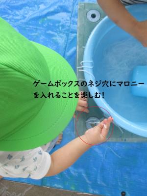 トイ