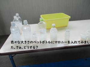 マロニー