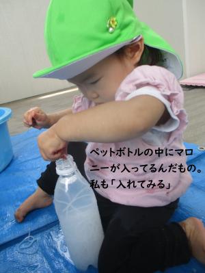 マロニー