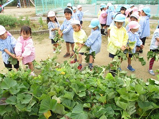 つると綱引きの画像1