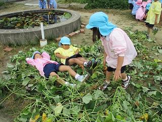 つるの布団で寝ています