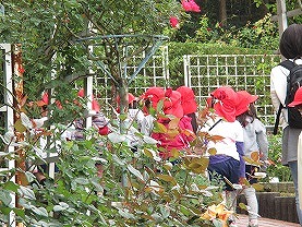 霊山寺の画像7