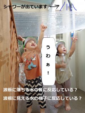 波板屋根
