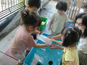 1歳児　遊びの様子　氷遊び