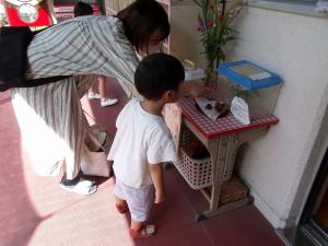 アゲハの幼虫を見ているところ