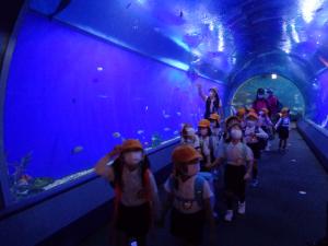 4歳児　海のトンネルを通っています