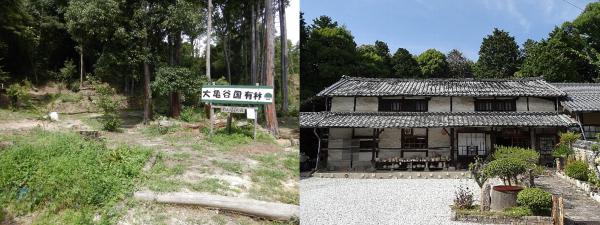 赤膚山元窯と大亀谷国有林の写真