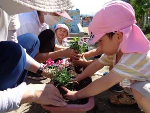 3歳児が保育士と一緒に花植えをしています。