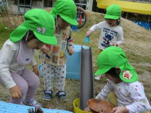 1歳児がドングリやまつぼっくりを転がして遊んでいます。