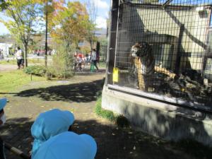 動物園５