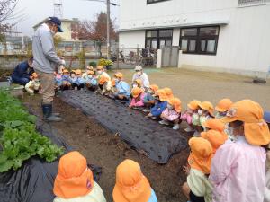 畑の先生にタマネギの植え方を教えてもらっています