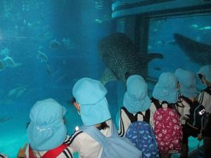 海遊館