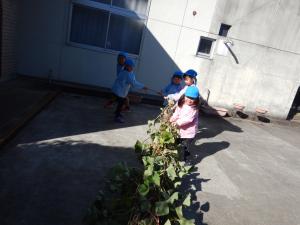 ツルを引っ張る5歳児