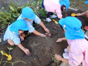 芋を探している5歳児