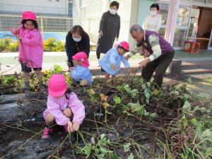 ツルを引っ張っている4歳児
