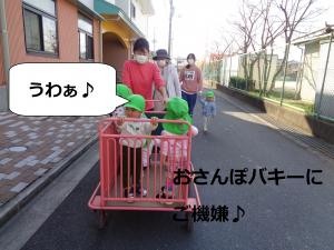おさんぽ