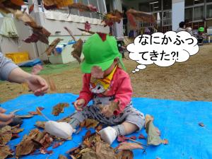 落ち葉