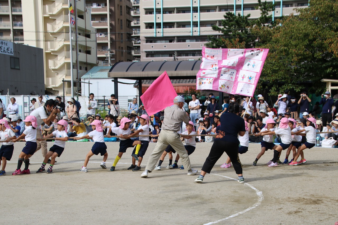 さくら　綱引き