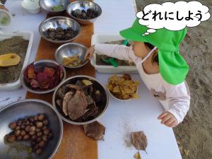 落ち葉