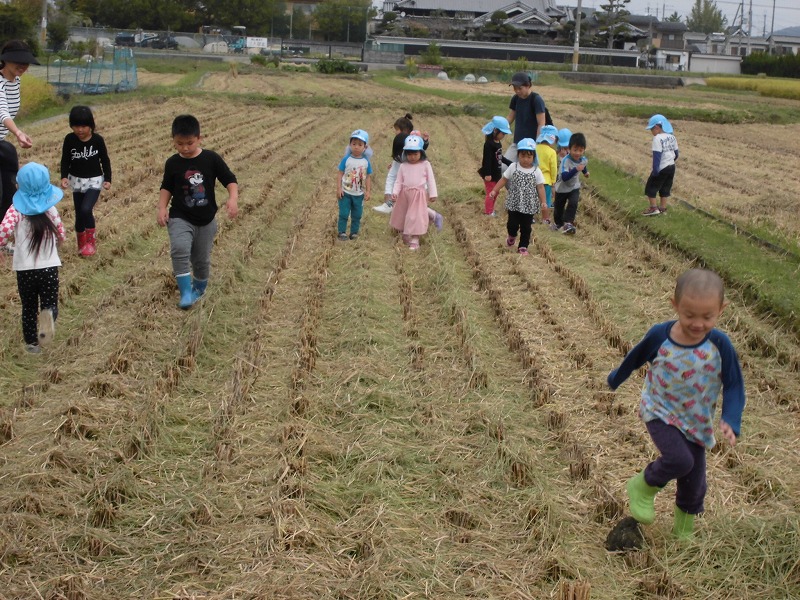 稲刈りのあと